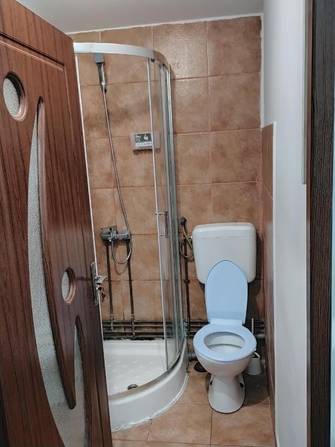 Апартаменты Vila Elena Ap 2 Бухарест Экстерьер фото